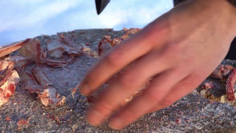 Close-up-axe-chopping-raw-bovine-noes-at-chopping-monkey-in-soft-winter-light