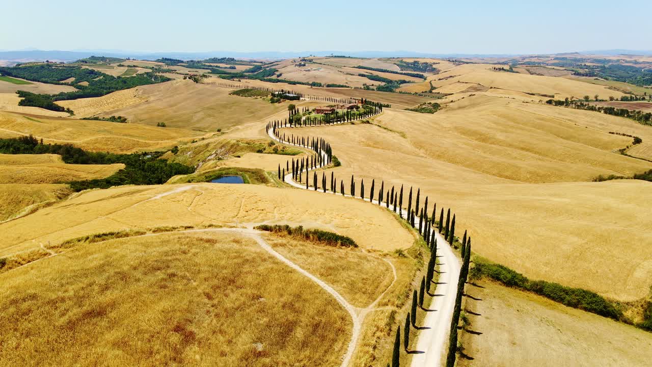 Peaceful of cypress tree-lined road, vibrant sun over rolling hills, Tuscany, 4K