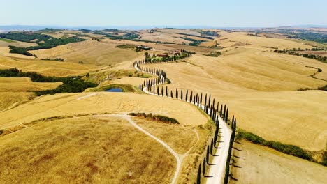 peaceful of cypress tree-lined road, vibrant sun over rolling hills, tuscany, 4k