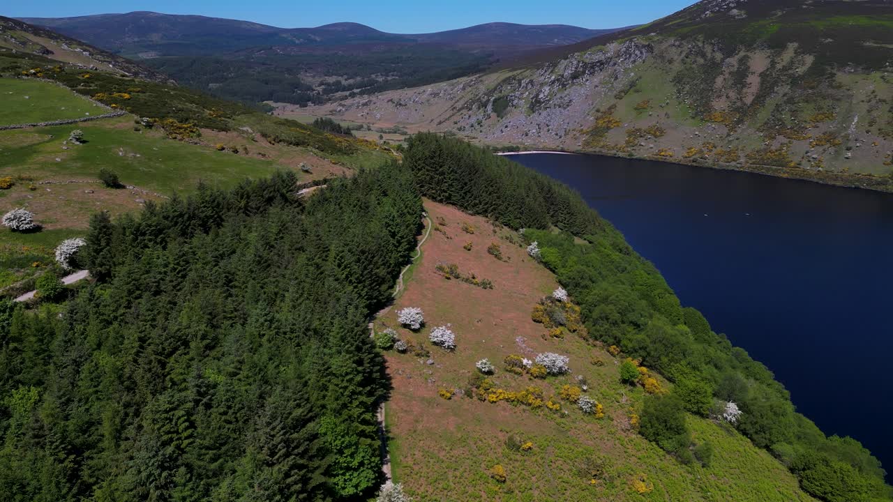 Cinematic aerial view, Lough Dan in Wicklow, Ireland, showing vibrant hillsides, forest edges and deep blue lake waters in bright sunshine light