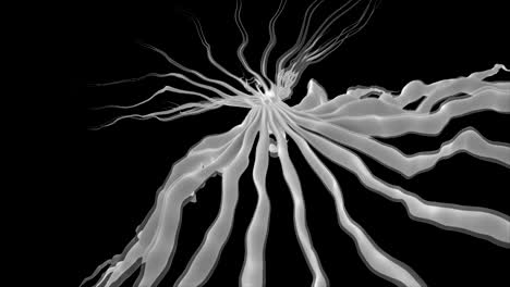 fondo abstracto forma orgánica giratoria 3