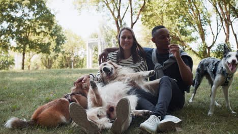 couple with pets oudoors