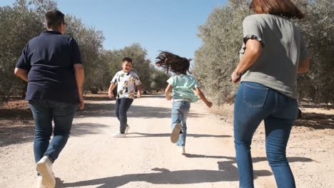 rear view of a playful family running in a sandy path