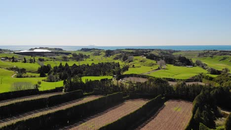 Luftaufnahme-Der-Opotiki-Landschaft-Auf-Der-Nordinsel-Neuseelands-An-Einem-Sonnigen-Tag