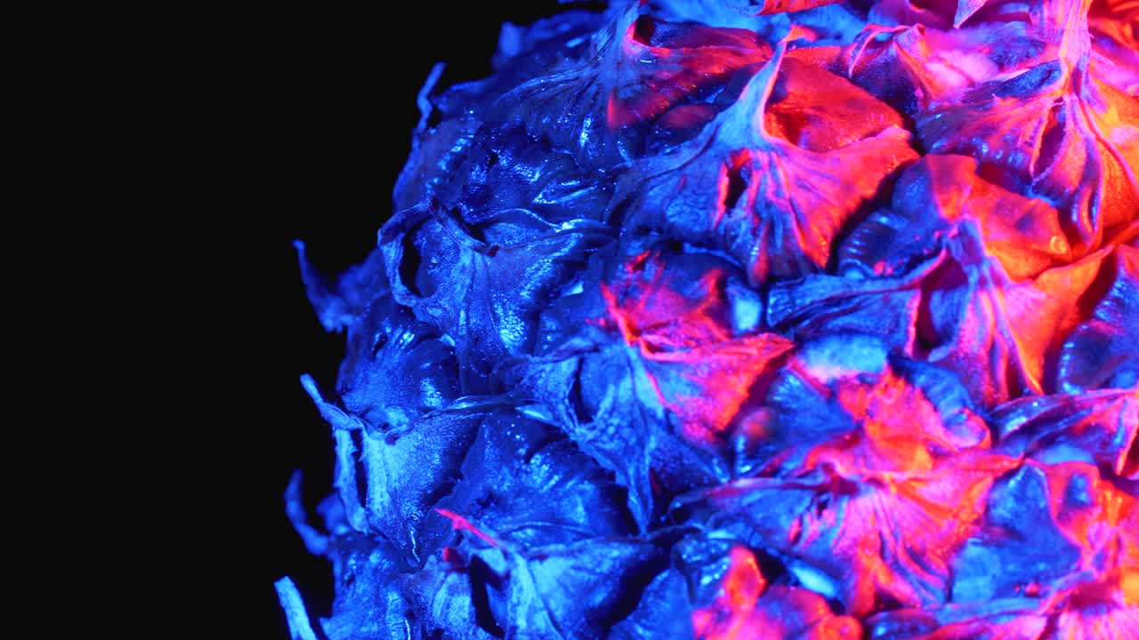 빨간색과 파란색 백라이트를 가진 파인애플이 검은색 배경에 회전합니다.