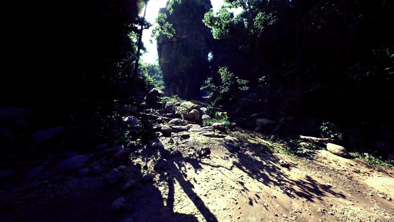 Canyon floor illuminated with high contrast shadows and highlights