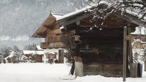 Wide-shot-of-a-snowy-town-with-cat-sitting-on-a-log