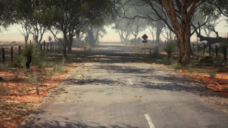 empty road in the australian outback