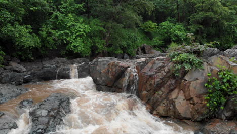 cascada en medio de la selva tropical en la india