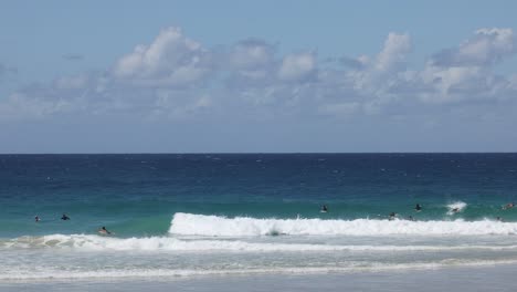 multiple surfers catch waves on a clear day