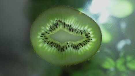 el kiwi está siendo aplastado.