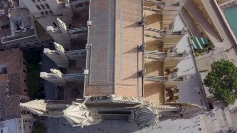 aerial view of cathedral of santa maria of palma in mallorca, spain