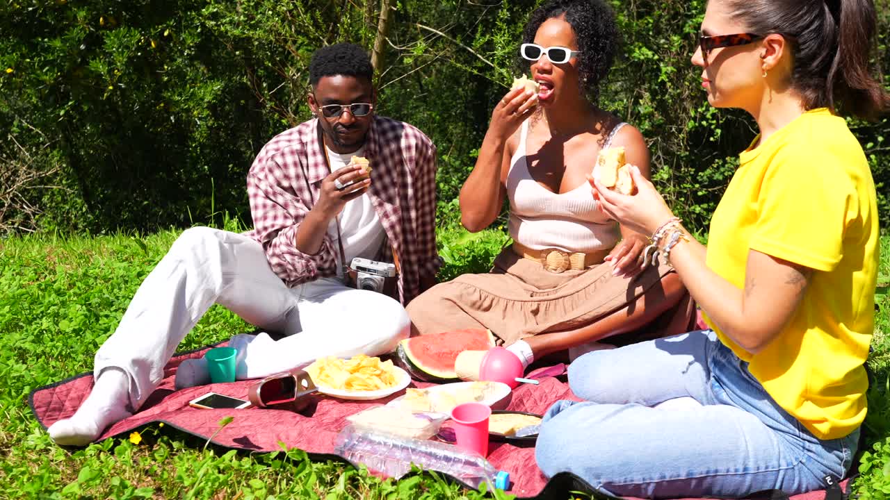 Friends enjoying a picnic in the park on a sunny day