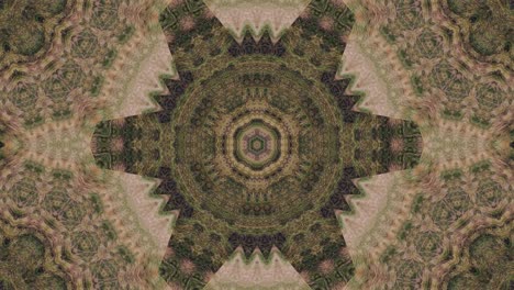 caleidoscopio simetría de fondo animación abstracta en 4k