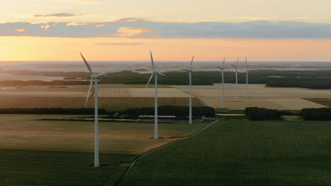 parque eólico al atardecer.