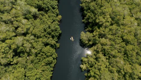 kayaking on lagoon and mangrove forest in el paredon, guatemala at daytime - aerial top down