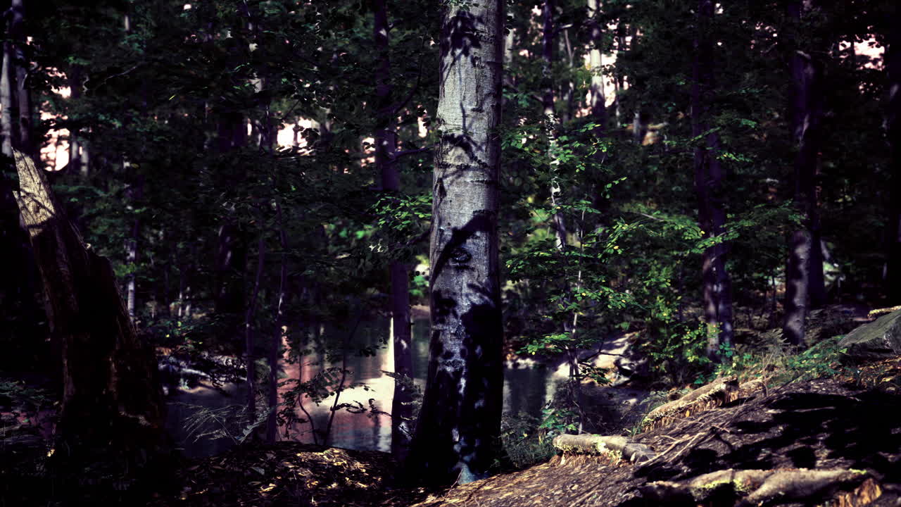 Exploring the enchanting forest by the tranquil river at twilight