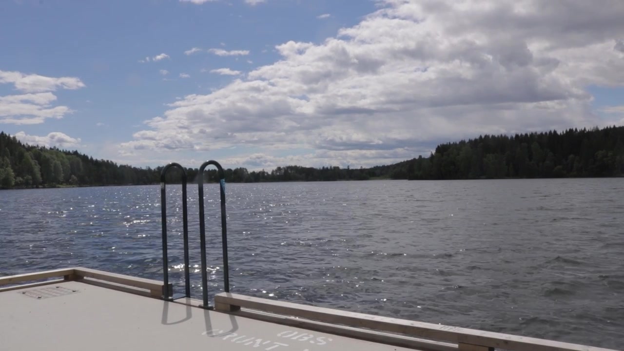Floating pier and ladder on peaceful forest lake water under summer sky