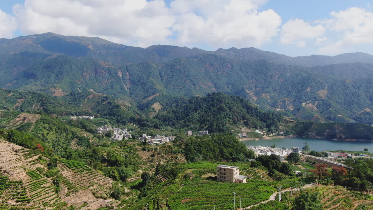 차 농장 과 호수 가 있는 산악 마을