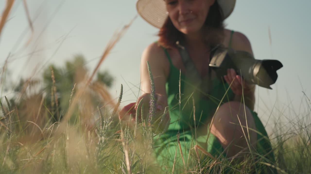 woman in green dress with camera approaches wild purple plant in tall grass during golden hour, sunlight glowing across calm field as she prepares to photograph