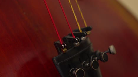 un primer plano de un violonchelo de 4 cuerdas