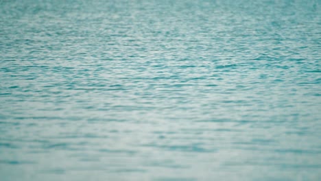 Natürlicher-Hintergrund-Mit-Sonnenstrahlen-Auf-Der-Wasseroberfläche