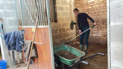 girl working in the stables loading a wheelbarrow with horse feces and soil