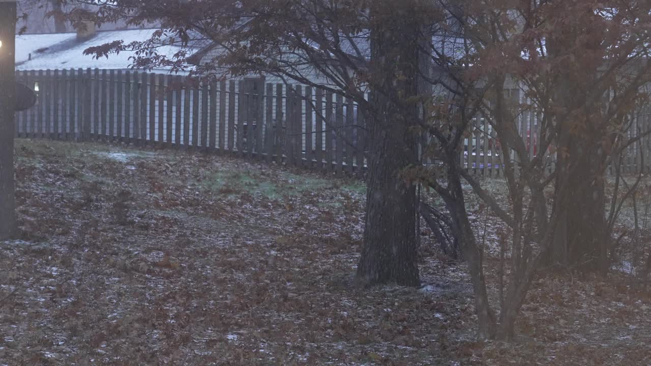 norton shores의 첫 눈, 미