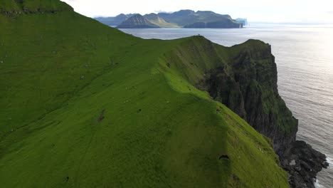 Moosige-Klippe-Am-Frühen-Morgen-In-Der-Nähe-Des-Meeres