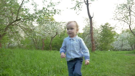 Little-Boy-Walking-among-the-Trees