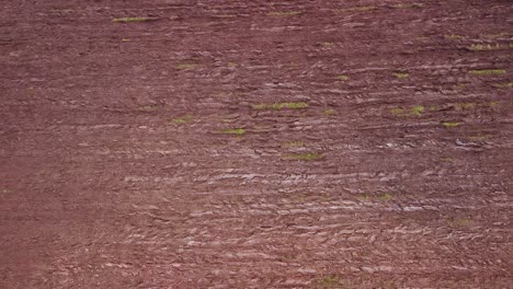 Moose-roe-deer-footprint-traces-in-plowed-field-soil-aerial-view