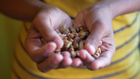 close up of pistachios nut on hand