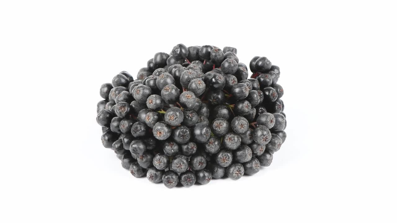 색에 chokeberry. 측면 뷰. 루프 모션. 회전 360.