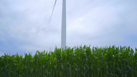 Windturm-Gegen-Bewölkten-Himmel.-Nahaufnahme-Einer-Windkraftanlage-Auf-Einem-Maisfeld