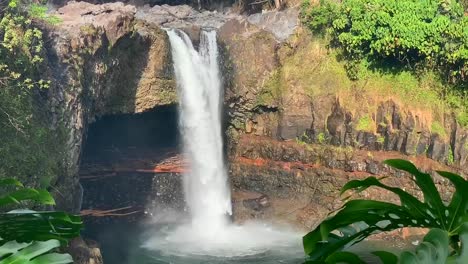 rainbow falls is a natural waterfall surrounded by the tropical rainforests of hawaii