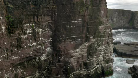 A-panning-shot-of-a-seabird-colony-on-a-dramatic,-sheer-sea-cliff-as-turquoise-green-waves-crash-against-the-base-of-teh-cliff