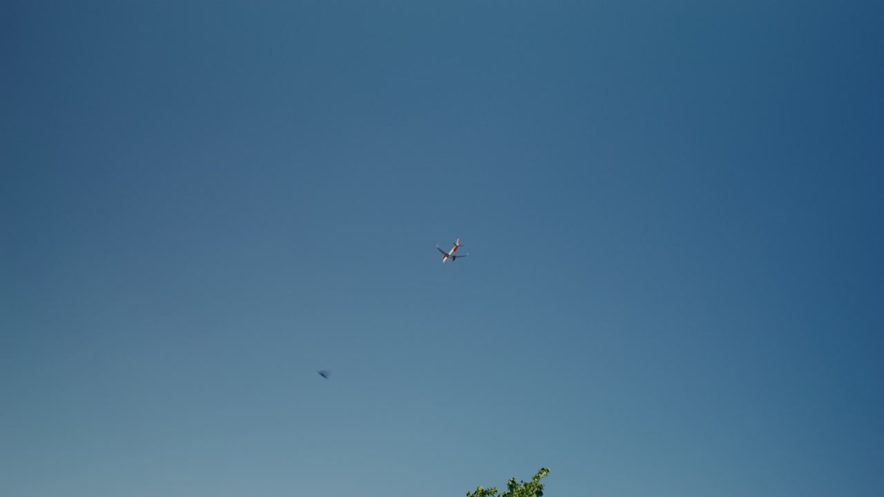 하늘 에 있는 비행기