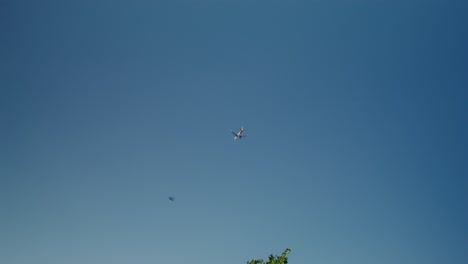 avión en el cielo