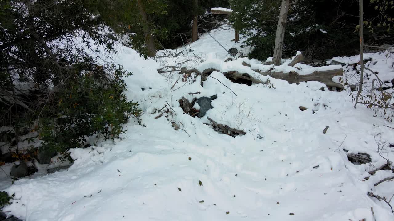 눈 덮인 숲을 통해 공중 촬영
