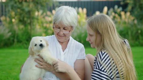 elderly lady with her granddaughter and a cute puppy in the backyard of the house