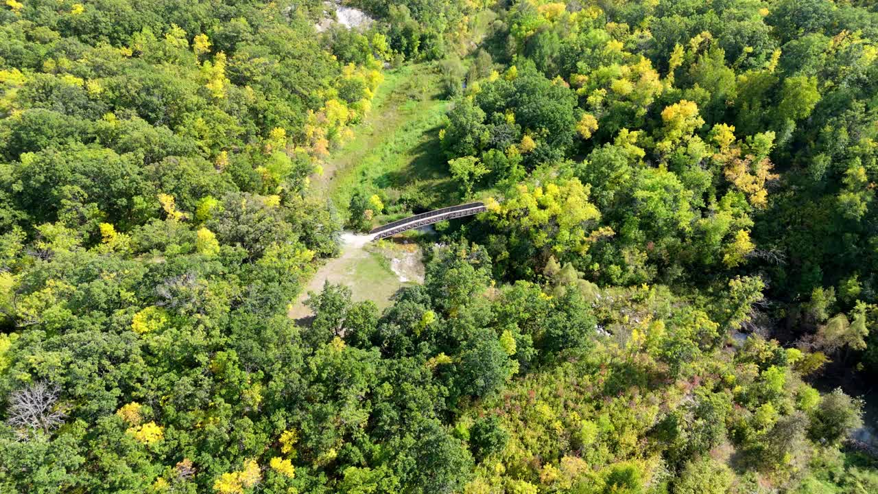 Drone footage of a lush forest with early autumn colors, featuring a small bridge crossing through the trees and rocky terrain nearby