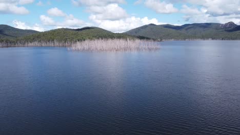 Flying-Towards-Dead-Trees-on-a-Lake