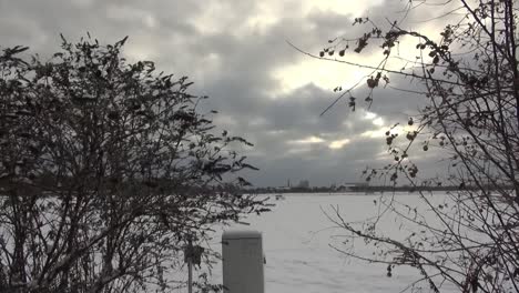 Gartenbäume-Wind-Flughafen-Tempelhof-Berlin-Neukölln-Deutschland-HD-5-Sek.-25-Fps00164