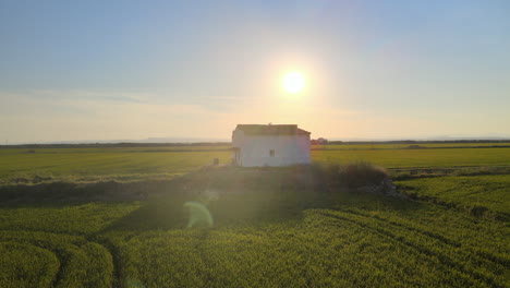 aerial view of countryside landscape, farmland. drone flying low over corn field and a white house. rural scenery, farm. sunny morning, sunrise or sunset, albufera, valencia