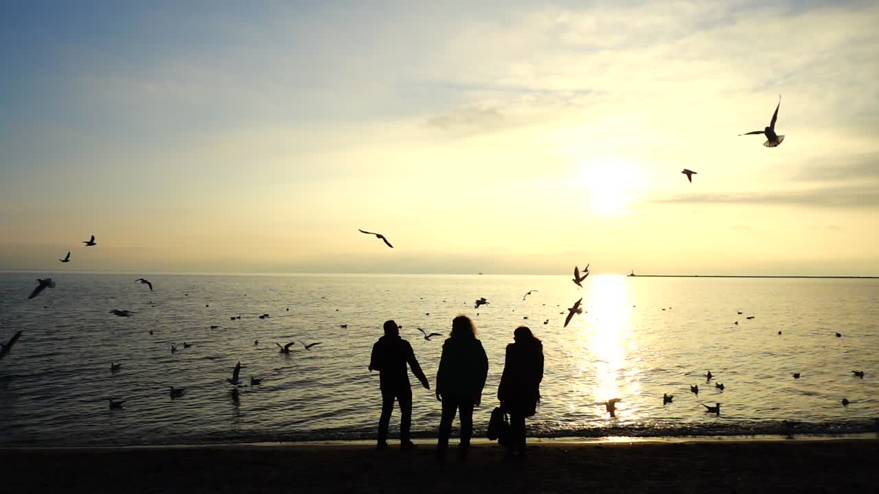 海辺でカモメに餌をやる人々。スローモーション。