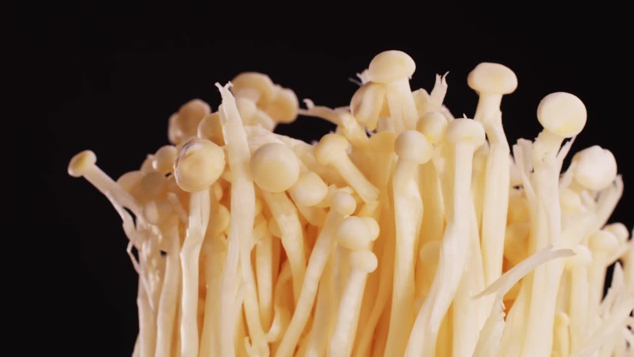 Close-up of Enoki Mushrooms