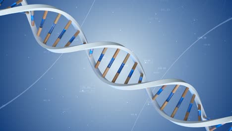 3d rendering of a dna double helix