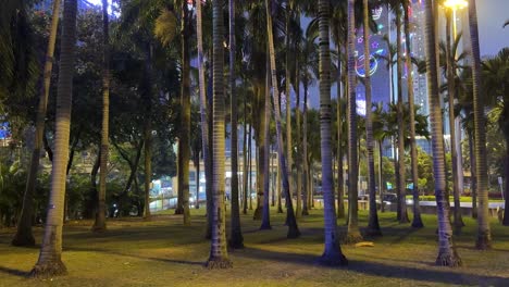 Vista-Nocturna-Del-Tráfico-Conduciendo-En-El-Centro-De-Hong-Kong-Detrás-De-Palmeras