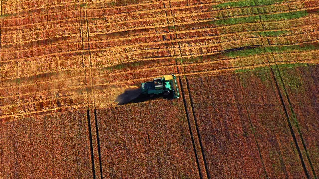 Veduta Panoramica di Mietitrebbia Agricola al Lavoro in una Vasta Campagna durante il Tramonto