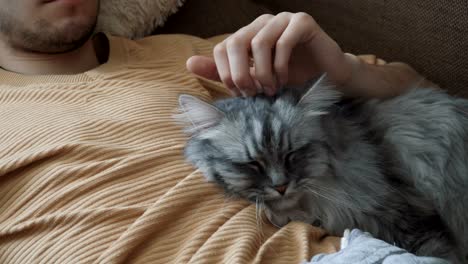 young man with his light gray fluffy cat